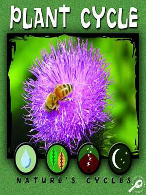 cover image of Plant Cylcle